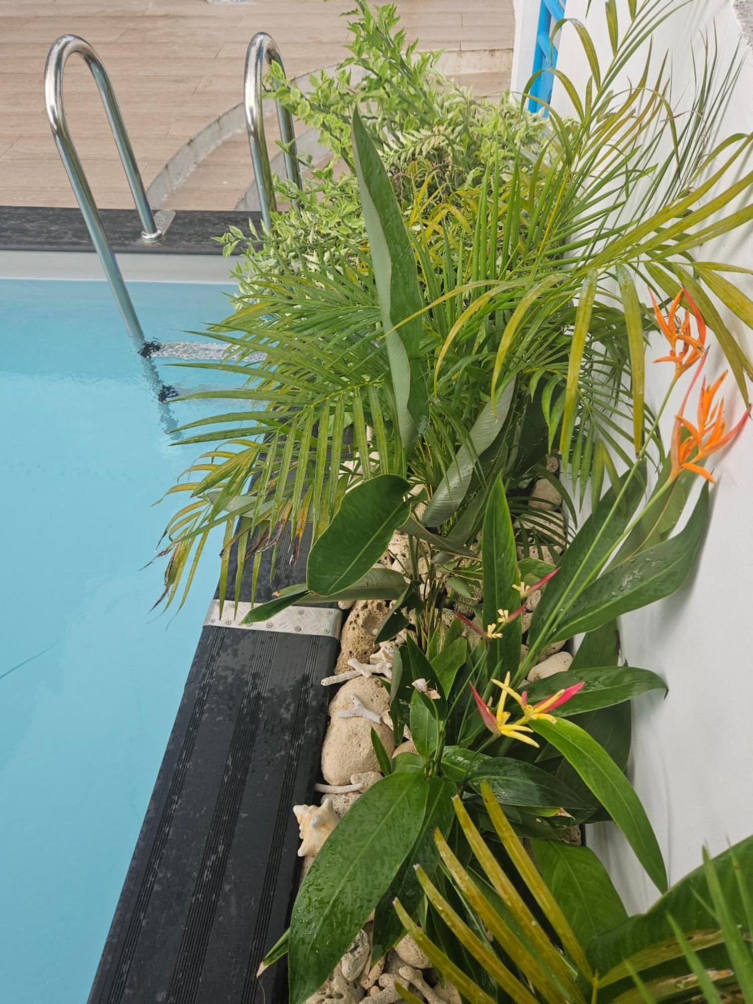 Ti Oasis Colibri, 1 Chambre, Piscine, A 150M De La Plage Sainte-Luce Exterior photo